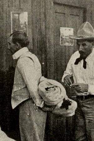 Poster A Montana Mix-Up (1913)