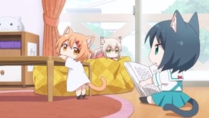 Nyanko Days: 1×4