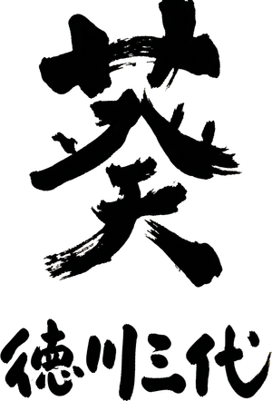 葵 徳川三代 — Logos 2