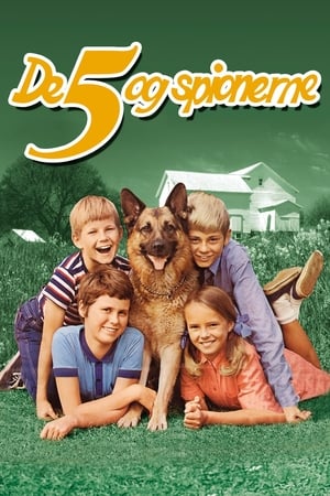 Five and the Spies poster