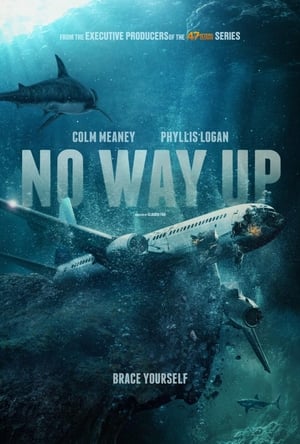 Poster di No Way Up