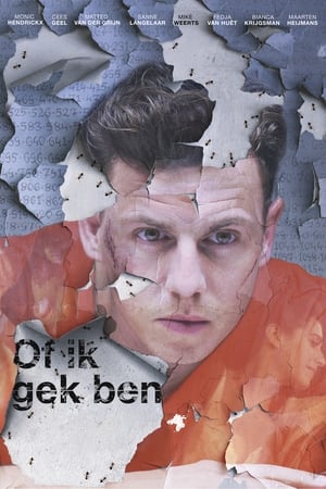 Poster Of ik gek ben 2016