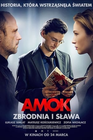 Poster Amok 2017
