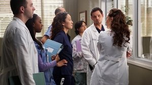 Grey’s Anatomy 9 x Episodio 11