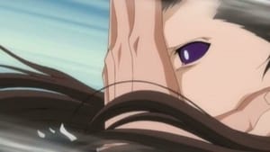 Ver 14x43 - Bleach Bleach - Goodbye...Rangiku episodio 43 online