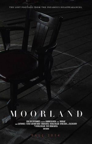 Poster Moorland (2014)