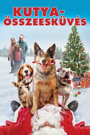 Image Kutyaösszeesküvés