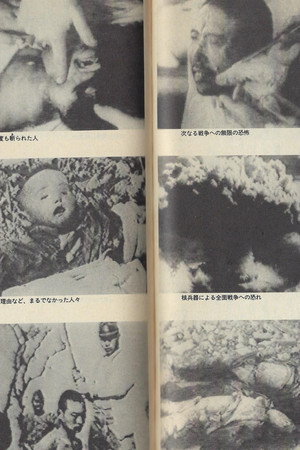 理解与选择