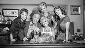 poster Petticoat Junction