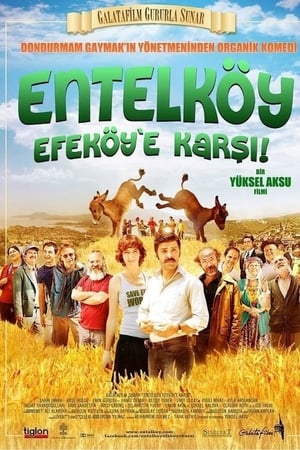 Poster Entelköy Efeköy'e Karşı 2011