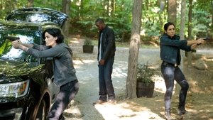 Blindspot 1×7