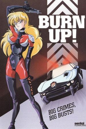 Burn Up 13