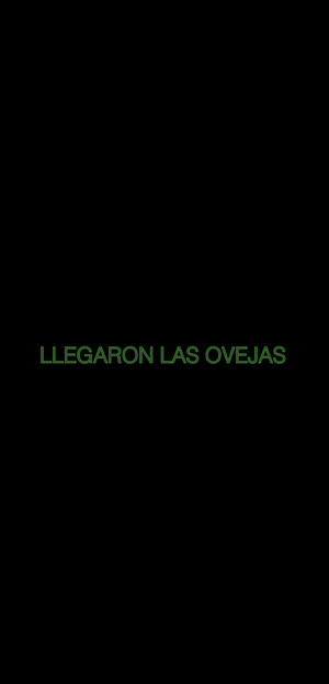 Llegaron las Ovejas 2