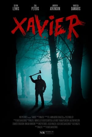 Image Xavier