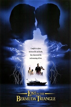 Poster Lost in the Bermuda Triangle (1998)