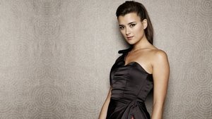 NCIS Season 19 Episode 16