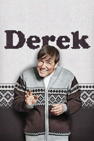 Poster Derek Special (2015)