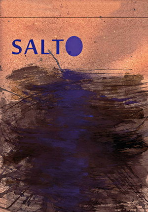 Salto 41