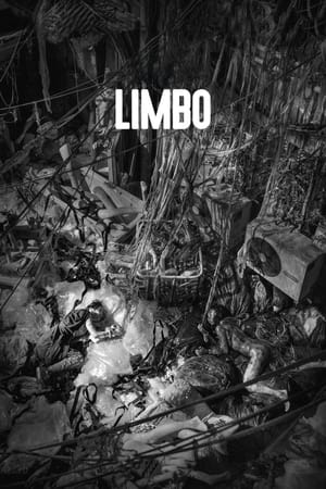 Poster Limbo (2021)