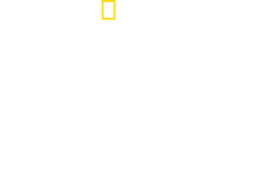 Eyewitness: D-Day — Logos 5