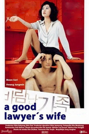 A Good Lawyer's Wife