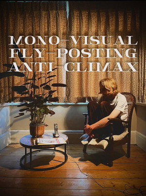 Mono-Visual Fly-Posting Anti-Climax 3
