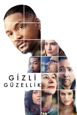 Poster Gizli Güzellik 2016