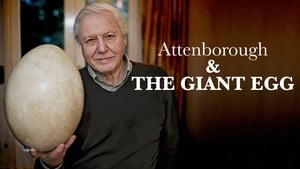 Attenborough and the Giant Egg film complet