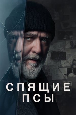 Poster Спящие псы 2024