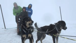 Weird But True! Alaska's Animals