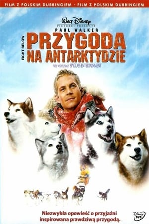 Poster Przygoda na Antarktydzie 2006