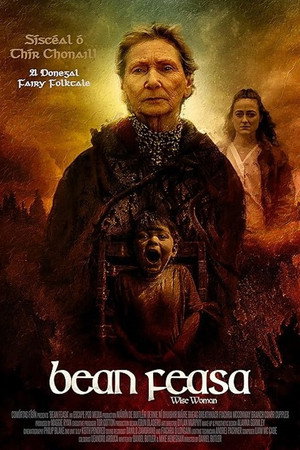 Bean Feasa 3