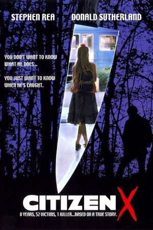 Watch Online Fallen 1996 Full Movie