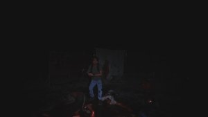 VHS Beyond