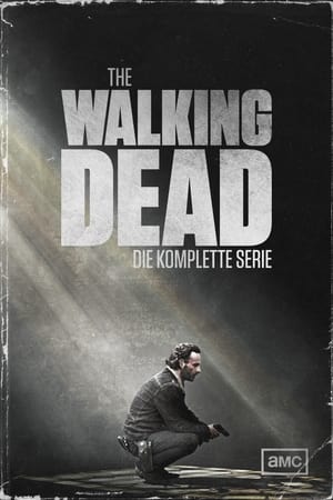 Poster The Walking Dead Staffel 11 Aus der Asche 2021