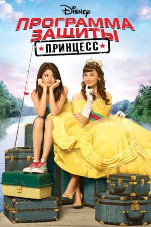 Poster Программа защиты принцесс 2009