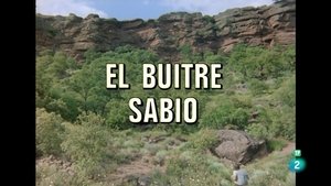 Episode 46