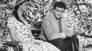 Αμαρυλλίς, Το κορίτσι της αγάπης (1959)