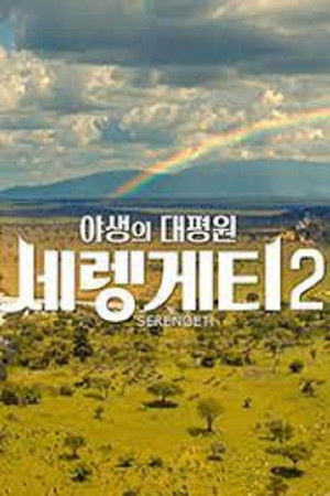 설 특선다큐 야생의 대평원 세렝게티