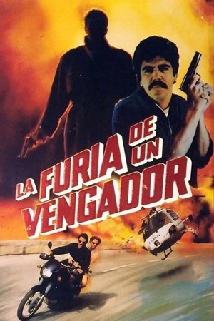 Image La furia de un vengador