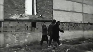 Провинциальная жизнь Online En Netflix