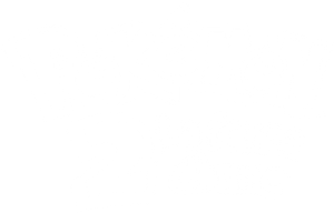 Pokémon 2: El poder de uno — Logos 2