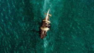 In The Heart Of The Sea (2015) หัวใจเพชฌฆาตวาฬมหาสมุทร