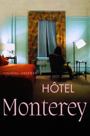 Poster Hôtel Monterey 1973