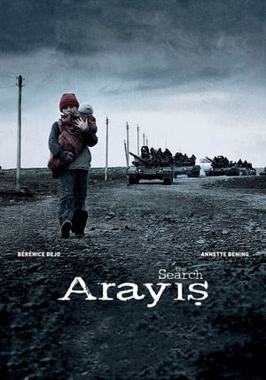 Poster Arayış 2014