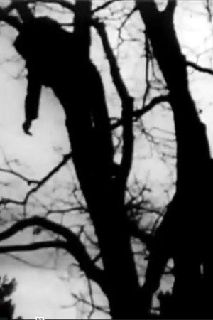 Fragments 6