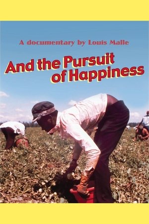 ...And the Pursuit of Happiness poster