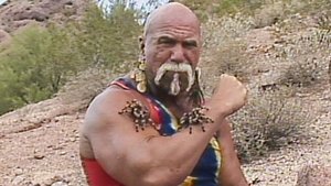 Wrestling Challenge - Nov. 29, 1986 | StreamHub