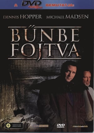 Poster Bűnbe fojtva 2001