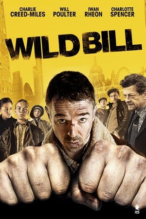 Poster Wild Bill (2011)